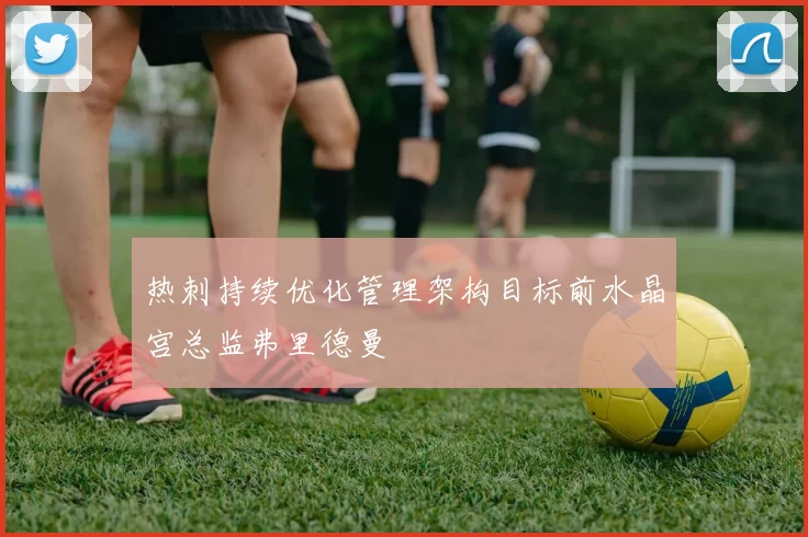 热刺持续优化管理架构目标前水晶宫总监弗里德曼