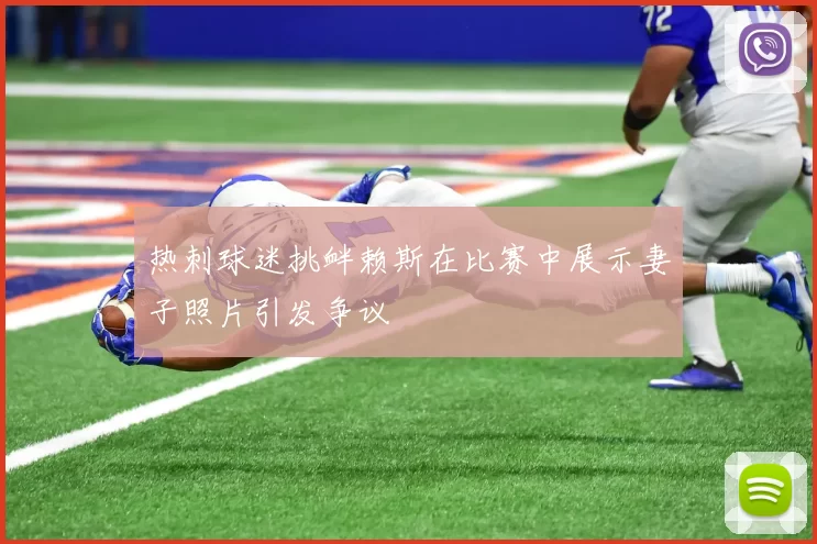 热刺球迷挑衅赖斯在比赛中展示妻子照片引发争议